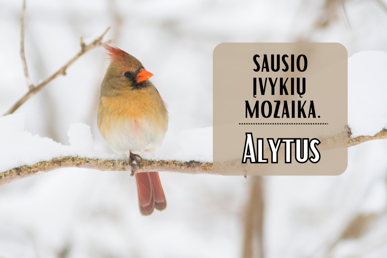 Sausio mozaika: įvykiai, datos, faktai